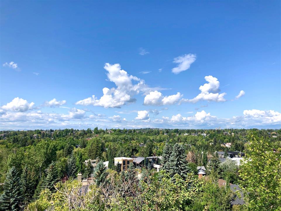 View SummerTime